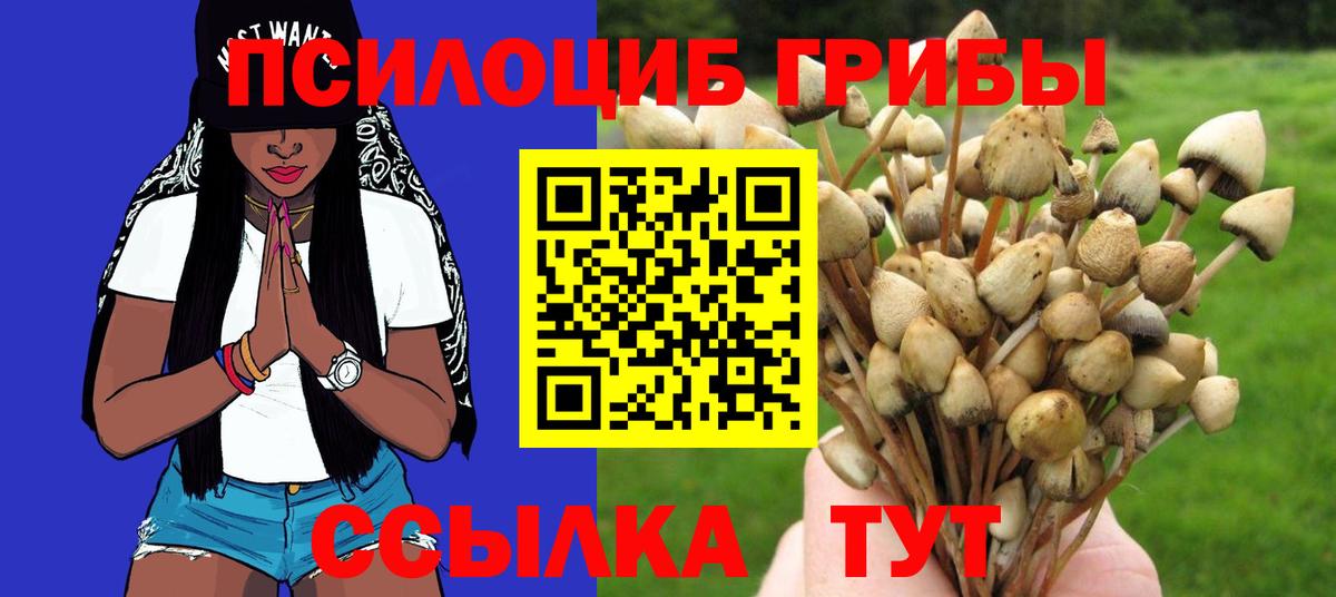 где можно купить наркотик  Вход с VPN  Татарск  Галлюциногенные грибы Cubensis 