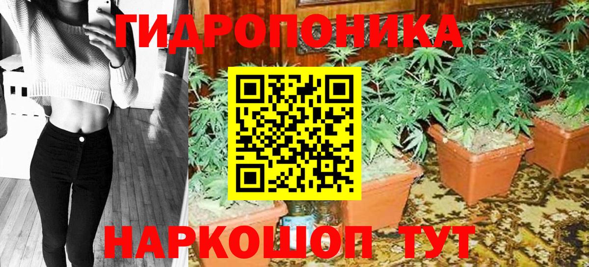 Шишки марихуана планчик  Вход с VPN  Бошки марихуана LSD WEED  Канабис ГИДРОПОН  Татарск 